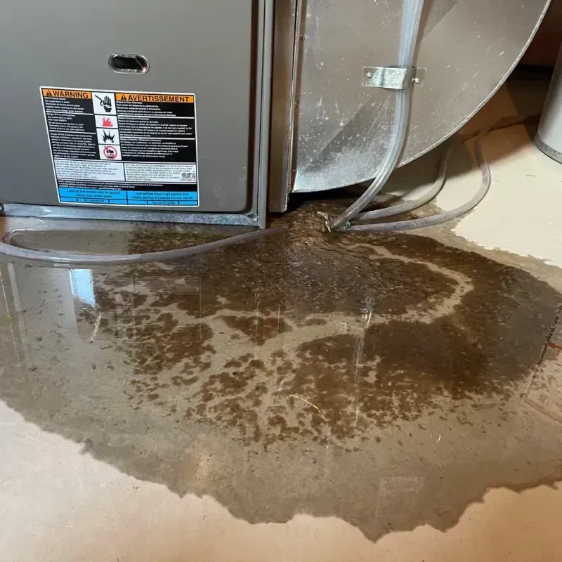 Appliance Leak Cleanup in Sparta, NC